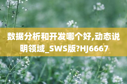 数据分析和开发哪个好,动态说明领域_SWS版?HJ6667