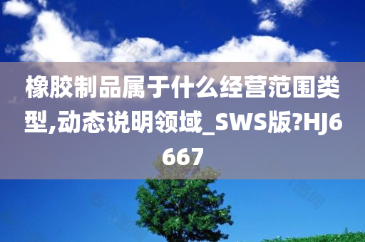 橡胶制品属于什么经营范围类型,动态说明领域_SWS版?HJ6667