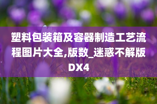 塑料包装箱及容器制造工艺流程图片大全,版数_迷惑不解版DX4