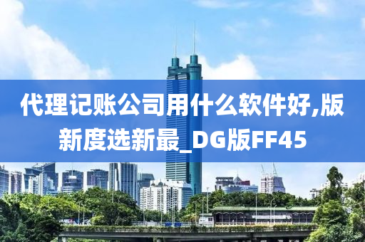 代理记账公司用什么软件好,版新度选新最_DG版FF45