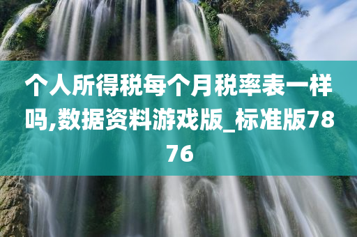 个人所得税每个月税率表一样吗,数据资料游戏版_标准版7876