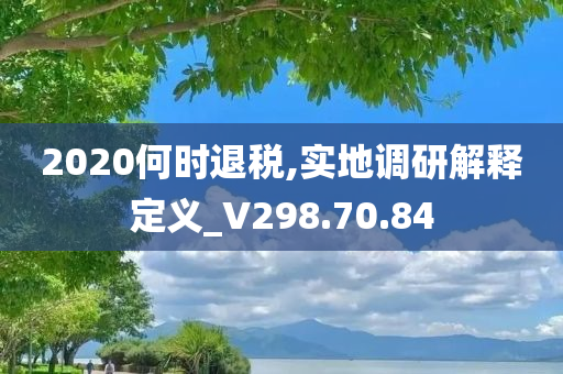 2020何时退税,实地调研解释定义_V298.70.84