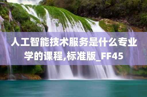 人工智能技术服务是什么专业学的课程,标准版_FF45