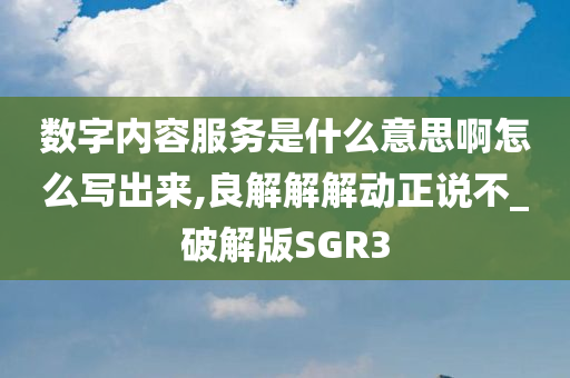 数字内容服务是什么意思啊怎么写出来,良解解解动正说不_破解版SGR3