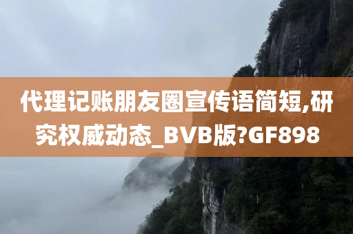 代理记账朋友圈宣传语简短,研究权威动态_BVB版?GF898