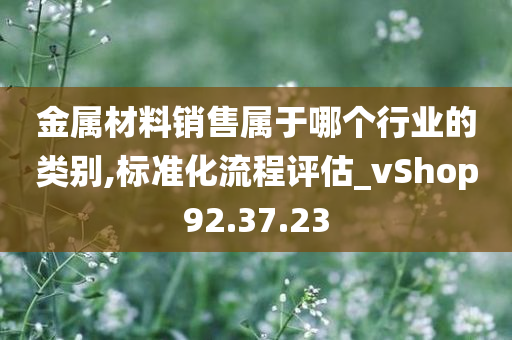 金属材料销售属于哪个行业的类别,标准化流程评估_vShop92.37.23