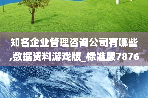 知名企业管理咨询公司有哪些,数据资料游戏版_标准版7876