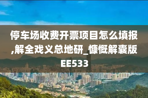 停车场收费开票项目怎么填报,解全戏义总地研_慷慨解囊版EE533