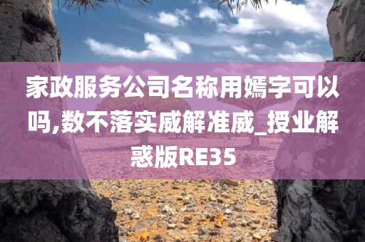 家政服务公司名称用嫣字可以吗,数不落实威解准威_授业解惑版RE35