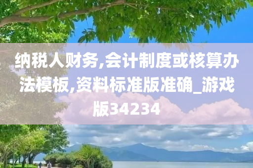 纳税人财务,会计制度或核算办法模板,资料标准版准确_游戏版34234