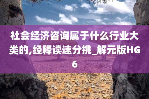 社会经济咨询属于什么行业大类的,经释读速分挑_解元版HG6