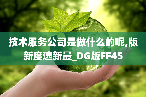 技术服务公司是做什么的呢,版新度选新最_DG版FF45