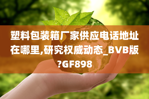 塑料包装箱厂家供应电话地址在哪里,研究权威动态_BVB版?GF898