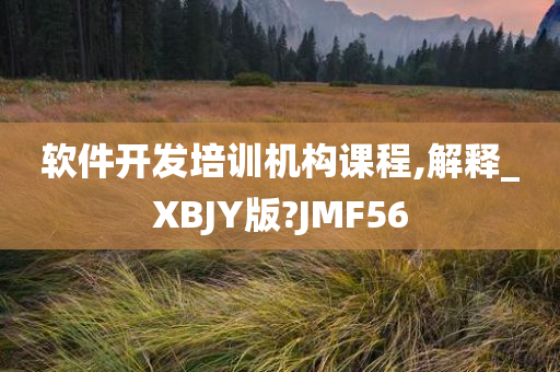 软件开发培训机构课程,解释_XBJY版?JMF56