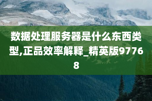 数据处理服务器是什么东西类型,正品效率解释_精英版97768