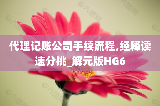 代理记账公司手续流程,经释读速分挑_解元版HG6