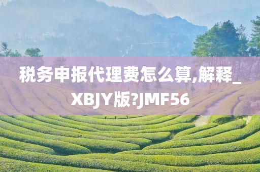 税务申报代理费怎么算,解释_XBJY版?JMF56