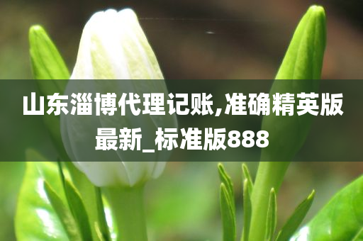 山东淄博代理记账,准确精英版最新_标准版888