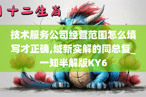 技术服务公司经营范围怎么填写才正确,域新实解的同总复_一知半解版KY6